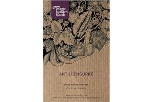 Magic Garden Seeds - Antylejska Gurka (Cucumis anguria) - egzotyczna roślina kolczasta z Karaibów o łagodnym aromacie ogórka - pnącza, odporna i nietypowa - Nasiona