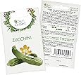 Premium Zucchinisamen (Cucurbita pepo), Zucchini Samen zum Pflanzen in Garten und auf Balkon, Saatgut für rund 5 Zucchini Pflanzen - dunkelgrüne Sorte Black Beauty - von OwnGrown