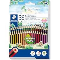 Staedtler Doppelfasermaler Set – 36 Farben, Mit Breiter & Feiner Spitze Für Zeichnen & Lettering