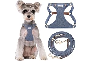 Puppytie - Pettorina anti-tiro con guinzaglio multifunzione per cani, morbida, leggera e regolabile, anti-soffocamento e anti-fuga, denim-celeste, S