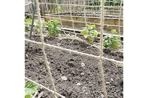 Tech-Garden 2 m x 3 m Plant Support Netting 100% Eco Friendly Biodegradable & Compostable Natural Garden Jute Trellis Twine