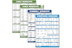 ‎PALACE LEARNING Palace Learning Kabelmaschinen-Workout-Poster, Band 1 & 2 + Hantelübungen + Dehnübungen (laminiert, 45,7 x 61 cm), 4 Stück