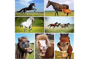 Set de cartes postales animaux"CHEVAUX" (7 cartes postales) - tous motifs différents, idéal pour les collectionneurs et postcrossing de Edition Colibri