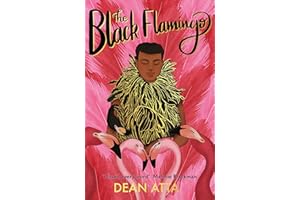 HACHETTE CHILDREN'S BOOK The Black Flamingo: The much loved, award-winning, queer coming-of-age story