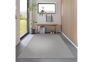 ‎CARPETSALE24 Carpetsale24 Dichter Kurzflor Teppich Wohnzimmer Hellgrau 60 x 100 cm Modern Einfarbig Design - Flauschiger Teppich Schlafzimmer Extra Weich Pflegeleicht - Läufer Flur Teppiche für Küche Kinderzimmer