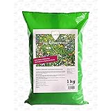 Linsor Blumenwiese 1kg | Blumenwiese Samen mehrjährig Wildblumensamen Mischung mehrjährig Blumensamen mehrjährig winterhart S