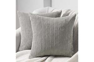 Topfinel Federe de Cuscini 65x65 in Velluto a Coste per Divano Grigio Chiaro Copricuscini Quadrati Elegante Decorativa per Salotto Moderno Cuscino Cerniera Invisibile per Camera da Letto Set 2 Pezzi