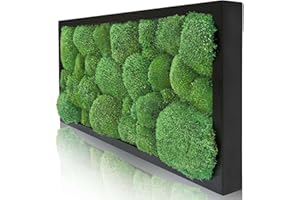 Naturewalls Moosbild Kugelmoos - Pflanzenbild im Vollholz-Rahmen | Schwarz - 60 x 30