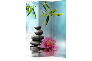 BIOMBO B&D XXL murando Biombo 135x172 cm de Impresion Unilateral en el Lienzo de TNT Decoracion Foto Biombo de Madera con Imagen Impresa Separador Grande Home Office b-B-0192-z-b