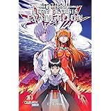 Neon Genesis Evangelion 13 (13)