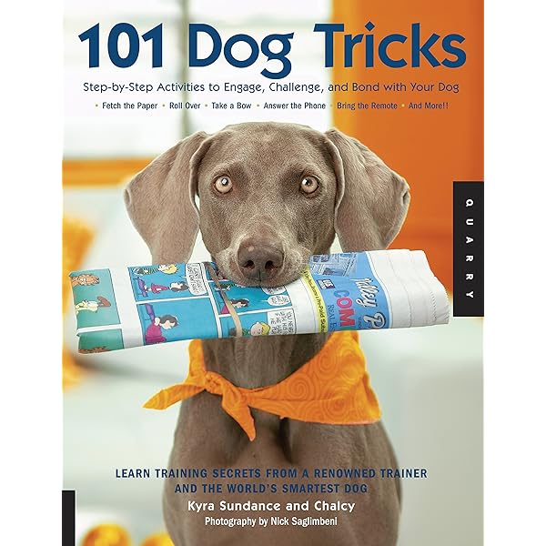 Do You Look Like Your Dog? Match Dogs with Their Humans: A Memory Game