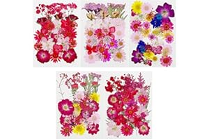 Cayway 170 Pz Naturales Flores Prensadas Secas, Naturales Flor Prensada Mezclada, Hojas Prensadas Secas Naturale para Resina Scrapbooking, Joyería de Resina Epoxi, Rojo