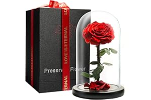 LOVAPPY Preserved Forever Rose in Glass Dome - Beauty and the Beast Romantic Gifts for Her - Eternal Rose Preserved Flowers - Preserved Rose Mother Gifts - Mum Birthday Gifts for women (red, 23 cm)