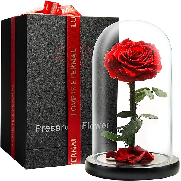 Real Flowers Valentine's Day For Woen, Preserved Eternal Rose In Glass Doe, Forever Love Gifts