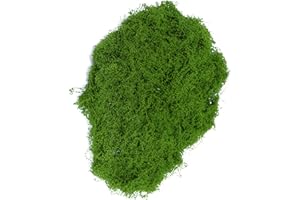 DawlQawwi Muschio decorativo, fiori artificiali, muschio artificiale, 250 g, muschio artificiale, decorazione estetica, decorazione pasquale per parete, presepe acquario, modellismo