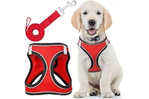 Pettorina per cani con guinzaglio - Media, Rover Red - Morbida imbottitura e anti-tiro Design Pet Harness con strisce riflettenti per la sicurezza - di EcoEarth