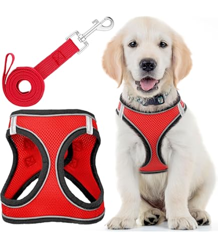 Pettorina Cinquetorri Per Cani Piccoli E Medi - Morbida, Traspirante, Turchese Taglia 1 - Foto 5