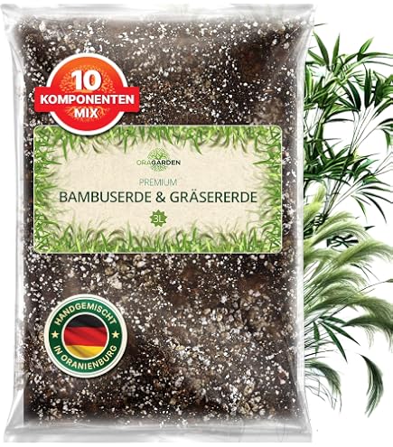 japanische bonsai kaufen japan bonsai – Plantre