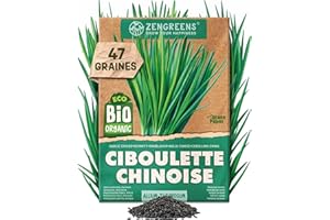 ZenGreens® – Graines de ciboulette de chine bio - Graines d'herbes aromatiques à cultiver facilement au jardin, sur le balcon ou en cuisine – parfaites pour débutants - Ciboulette chinoise
