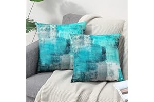 OYIMUA Set of 2 Decorative Velvet Cushion Covers 45 x 45 cm Abstract Art Decor Pillow Case Teal Cushion Cover 18x18 inches for Outdoor Patio Garden Blench Living Room Sofa Farmhouse Decor