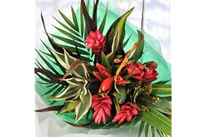 Homeland Florists Striking Beauty Tropical Fresh Flower Bouquet Delivered with Handwritten Gift Card, Delivery Next Day Prime UK