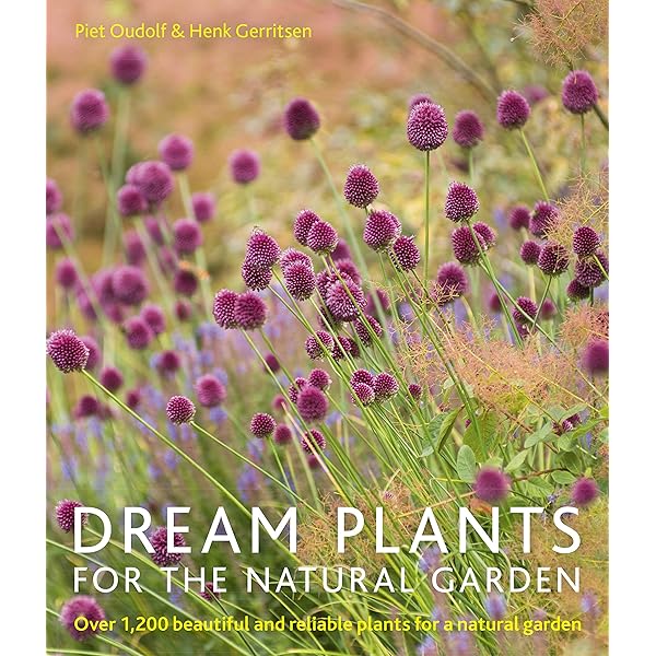 Gardening with Grasses: Amazon.co.uk: King, Michael, Oudolf, Piet