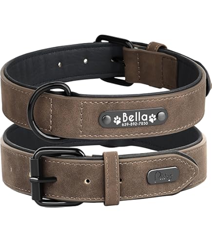 Didog Glitzer-Hundehalsband Personalisierbar – PU-Leder Mit Pailletten & Graviertem Namensschild | Für Kleine & Mittlere Hunde/Katzen, Silber XS