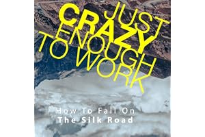 Just Crazy Enough to Work: How to Fail on the Silk Road