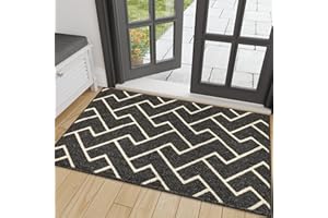 ‎BISCPRO Biscpro Fußmatte Innen, Wasserdicht Türmatte Schmutzfangmatte rutschfest Fussmatte Innen (Black, 80 x 120 cm)