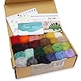Woolbuddy Felting Wool, Needle Felting Wool, Eco Wool Kit, Felting Wool Pack, Clean, Carded Colored Roving Wool, for Needle Felting Kit Beginner, Wet Felting, Felting Supplies, with Guide Card