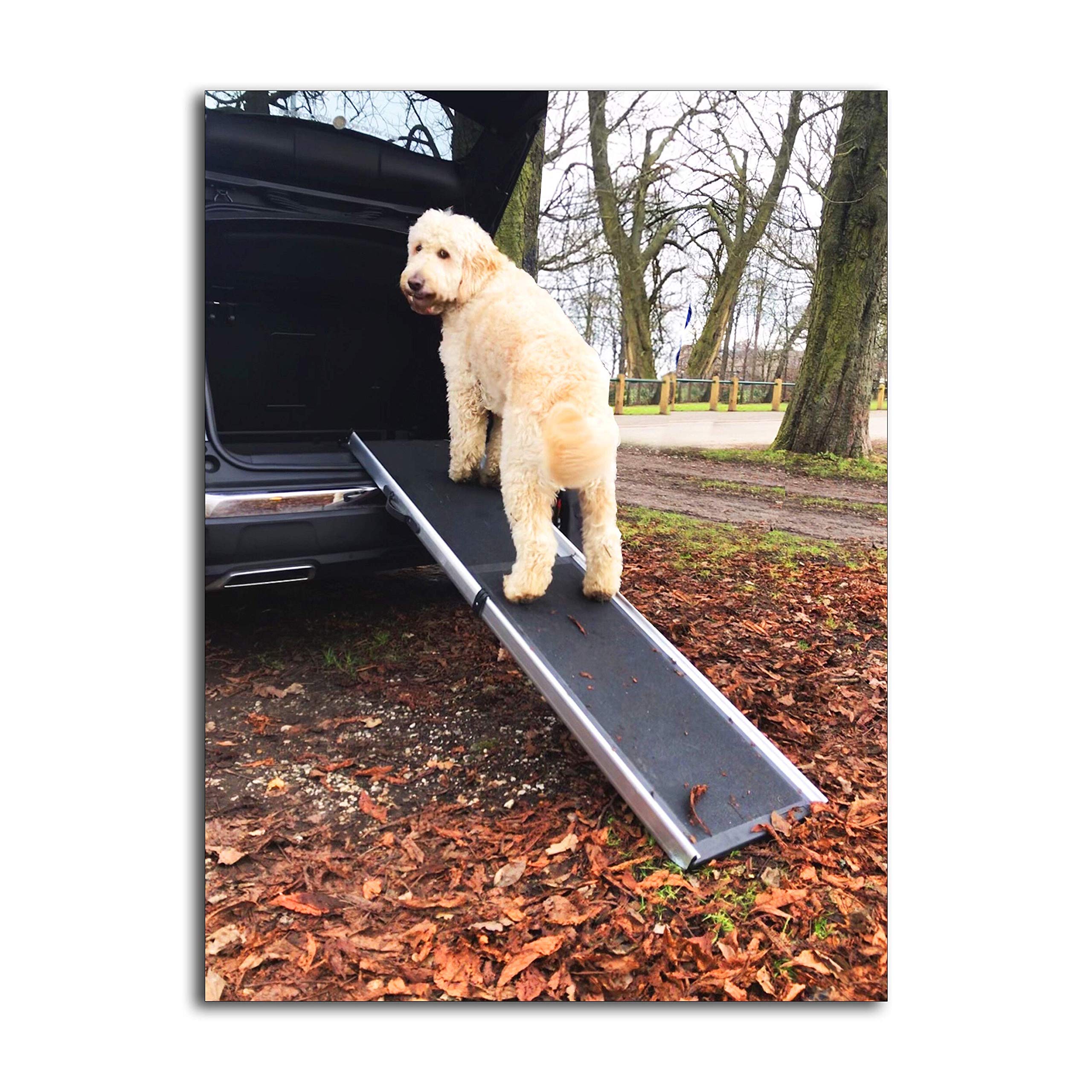 easipet dog ramp
