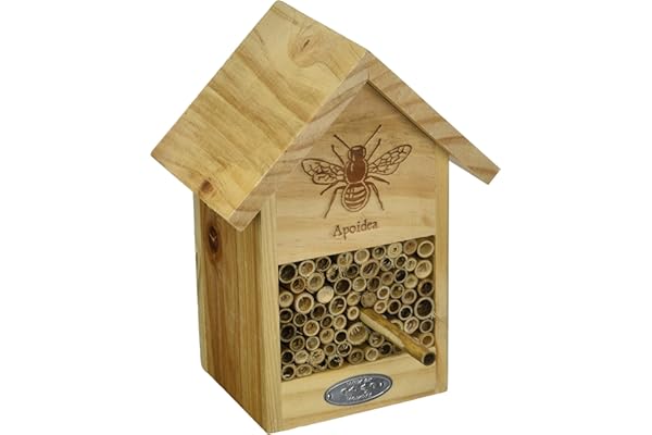 Esschert Wa38 Bee Maison avec Ligne Dessin