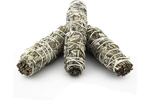 Nosy Nomad White Sage Smudge Stick (Salvia apiana) | Small Incense Sticks Set of 3 - Sage Smudge Stick Gift Set, Spiritual Gifts & Supplies, New Home Gift, Native American Gifts, Ideal For Meditation