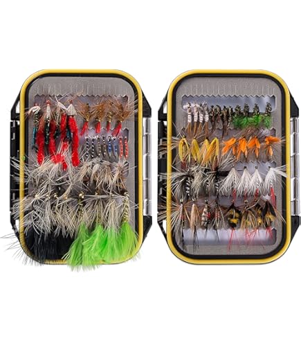 Canna da pesca a mosca per salmone Shakespeare Oracle 2 EXP (6 pezzi