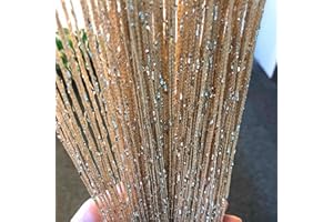 HYSENM 2 Pack Rare Flat Glistering Ribbon Fringe Door String Curtain Window Panel Room Door Divider Tassel for Party Wedding Birthday Decoration, Champagne, 39.4"x78.7"