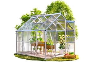 GARDEBRUK® Serre de Jardin Aluminium 4,8m² Fondation 250x190cm 2 lucarnes Serre à tomates Plantes légumes Fleurs hivernage châssis semis 7,7m³