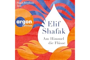 Am Himmel die Flüsse: Roman