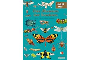 Das Museum der Insekten: Eintritt frei! - Sachbilderbuch im Großformat für Kinder ab 8 Jahren mit faszinierenden Illustrationen von Emily Carter zur Vielfalt der Insekten