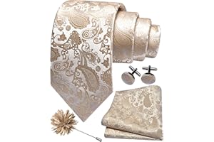 Gusleson 3.15"（8cm） Mens Paisley Tie and Lapel Pin Necktie Hankerchief Cufflinks Set for Men