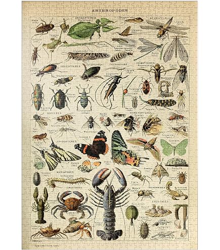 MyPuzzle des Arthropodes pour Tous, Affiche d'art Vintage, Adolphe Millot - Premium 1000 Pièces Puzzle - Collection spéciale MyPuzzle de Havana Puzzle Company