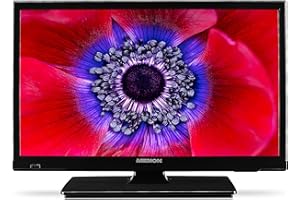 MEDION E11916 (MD 20058) TV HD de 47 cm (19 Pulgadas) (Receptor con Triple sintonizador, Adaptador de 12 V para Coche, Camping Autocaravana Camión Jardín, Ci+, Reproductor Multimedia)