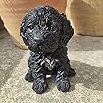 VIVID ARTS PP COCKAPOO PUPPY BLACK