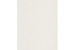 Rasch tapeter fibertapet (universell) vit 10,05 m x 0,53 m tapetbyte 809008 tapet, 10,05 m x 0,53 m