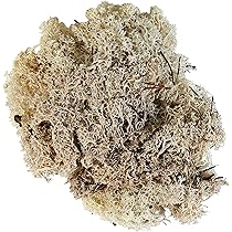 Glorex 3803 855 K 6 Pirâide De Isopor, 12, Branco, 5 X 8 X 6 C