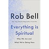 Everything is Spiritual: A Brief Guide to Who We Are and What We're Doing Here (English Edition)