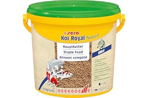 Sera - Alimento Completo Koi Royal Mini (2 mm) para el Desarrollo óptimo de Peces Koi hasta 12 cm, con prebióticos, Menor Car