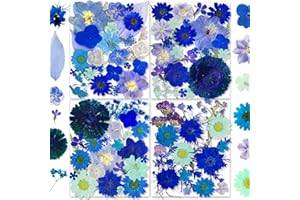 YouthBro Fiori Pressati Secchi Blu con Adesivi a Farfalla - Fiori Veri Naturali Set di Erbe per Resina Gioielli Fai Da Te Candele Vasi di Sapone Creazione di Carte