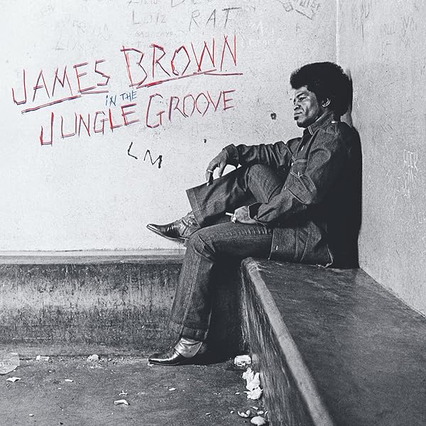 欧2LP James Brown Motherlode 00602577163432 Republic Records, Po /00660 Motherlode: Amazon.pl: Płyty CD i winylowe