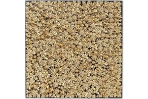 Kare Design Deko Rahmen Gold Flower, Leinen Leinwand, Blütenformen aus Papier, Schaukasten aus Acrylglas, dreidimensionales Kunstwerk, Gemälde, Abstrakt, Modern, Wohnzimmer, Flur,120x120x5cm