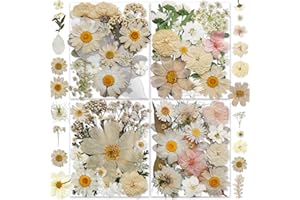 YouthBro 135PCS White Dried Pressed Flowers with Butterfly Stickers Real Nature Flowers Herb Set for Resin DIY Jewelry Candle Soap Vase Making Nail Card Scrapbook Art Craft Floral Decors